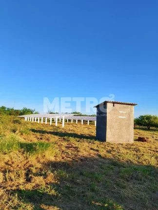 Imagem Fazenda de com 20 hectares produzindo e com Infraestrutura, CASA NOVA - BA