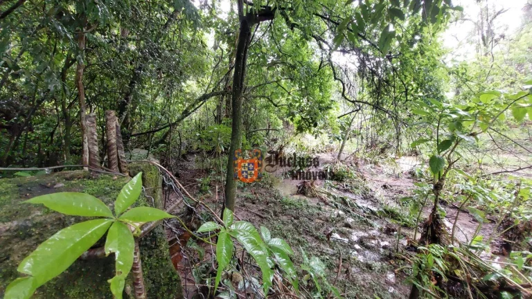 Imagem Chácara com 4 dormitórios à venda, 8000 m² por R$ 990.000,00 - Dos Tenentes - Extrema/MG