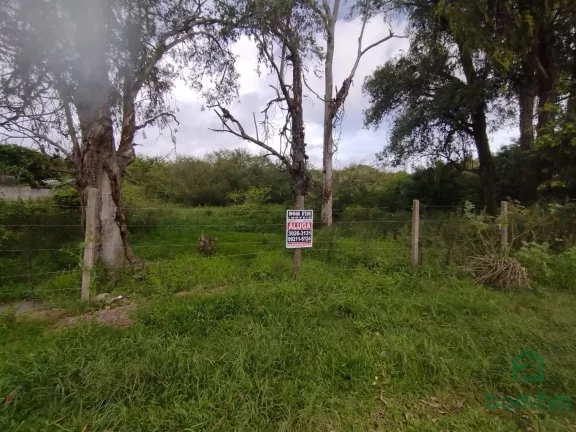Imagem Terreno para aluguel, Ponta Grossa, Porto Alegre/RS. - TE2520