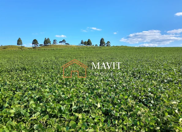 Imagem SITIO RURAL em CAPÃO ALTO - SC, Capão Alto