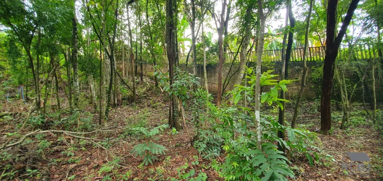 Imagem SITIO COMERCIAL em ESMERALDAS - MG, TURMALINAS