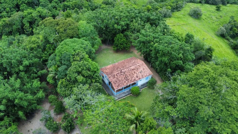 Imagem VENDO FAZENDA COM 30 ALQUEIRES EM SILVA JARDIM, AGUA POR GRAVIDADE