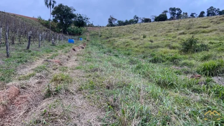 Imagem Ótima Área para Investimento em Jarinu