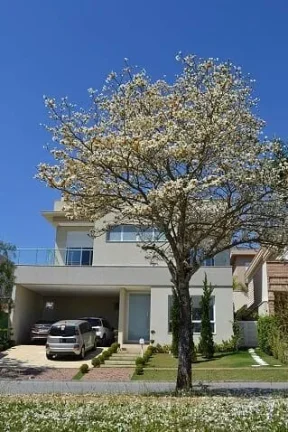 Imagem Casa no Res. Gênesis I - 415m²