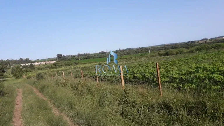 Imagem Terreno à venda Diácono João Luiz Pozzobon Santa Maria/RS