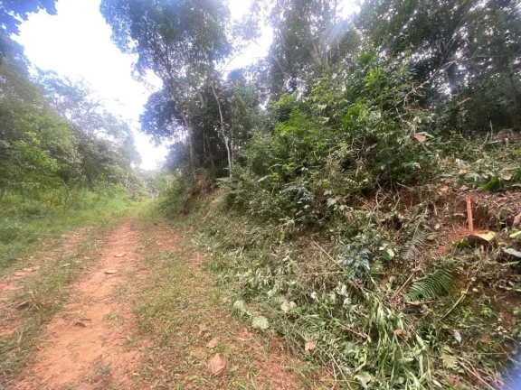 Imagem Terreno à venda, 300 m² por R$ 45.000,00 - Parque Astúrias - Suzano/SP