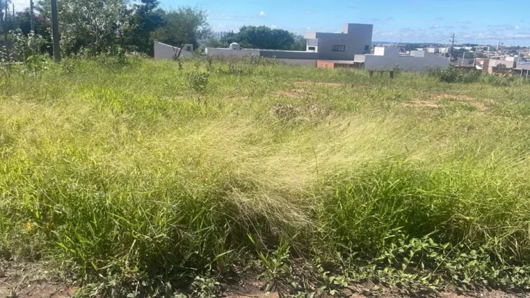 Imagem Bauru/SP, Vila Garcia/JD Marilia, Terreno 200m²