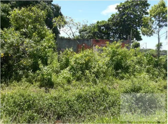 Imagem Terreno para Venda em Itanhaém, Jardim das Palmeiras