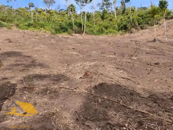 Imagem Vendo Àrea Rural a partir de 10 mil mts², Boa Topografia, Com RGI