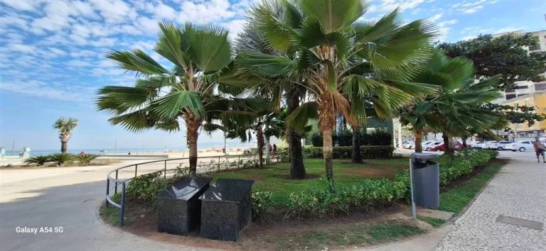 Imagem Apartamento à Venda em Forte, Praia Grande - SP