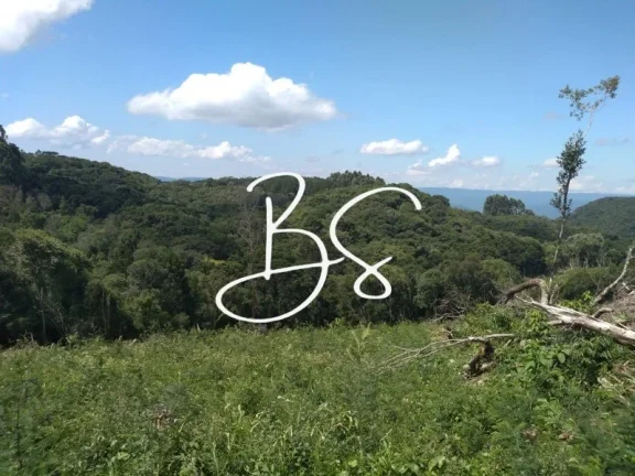 Imagem SITIO RURAL em IGREJINHA - RS, Serra Grande