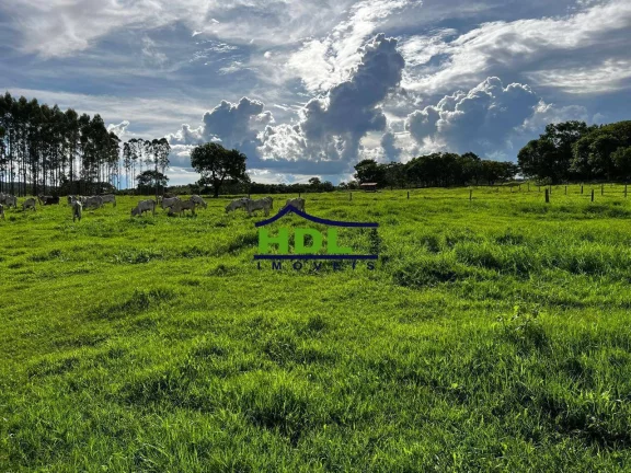 Imagem Fazenda Top de 165 Alqs em Padre Bernardo GO