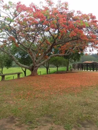 Imagem Sítio Encantador em Itapetininga - SP!