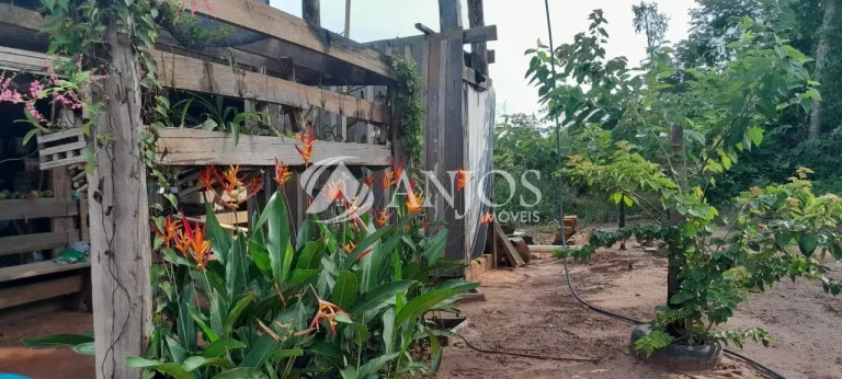 Imagem OPORTUNIDADE PARA VOCÊ QUE BUSCA COMPRAR SUA CHACARA, SINOP - MT