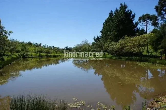Imagem Chácara à venda 529000M², Zona Rural, Tijucas do Sul - PR