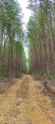 Imagem Fazenda a venda São Miguel Arcanjo SP