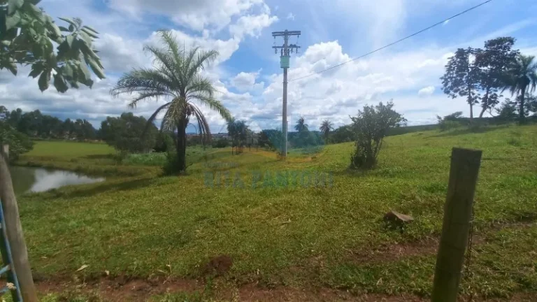Imagem Rancho - Santo Antônio da Alegria - Poção