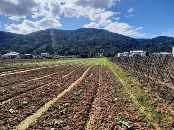 Imagem Terreno à Venda, Plano, Nível da Rua, com 11.089 m2. Sul do Rio, Santo Amaro da Imperatriz, SC