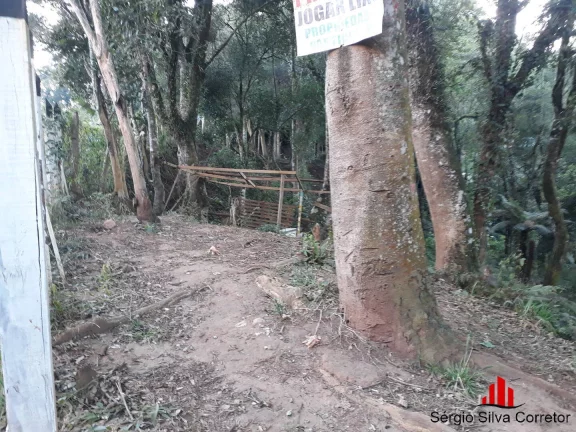 Imagem Terreno a Venda no Bairro Nova Suíça em Campos do Jordão - SP