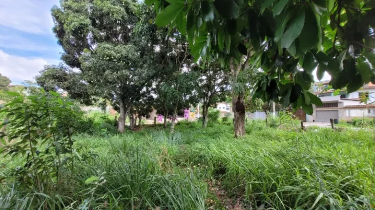 Foto do imóvel: TERRENO RESIDENCIAL em SERRA - ES, ENSEADA DE JACARAÍPE