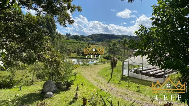 Imagem Chácara - Sítio com 1 Dormitorio(s) localizado(a) no bairro Padre Eterno Ilges em Santa Maria do Herval / RIO GRANDE DO SUL Ref.:1267