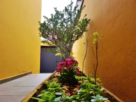 Imagem Sobrado à venda com 3 quartos, sendo 3 suítes, em Butantã, São Paulo - SP