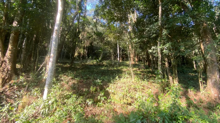 Imagem Terreno à venda em Garopaba-SC, bairro Ressacada, com 172.989,94 m² de área! Venha conferir!
