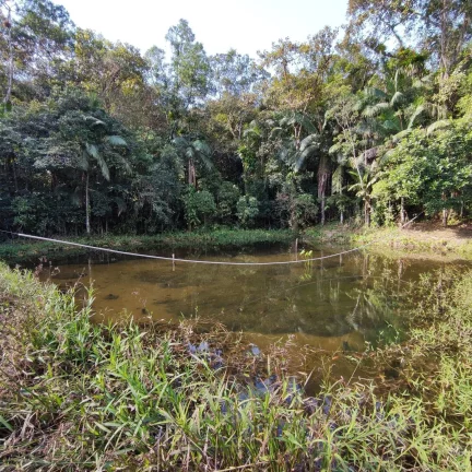 Imagem Área Rural, Terreno Rural, Chácara, Sítio, Pirabeiraba