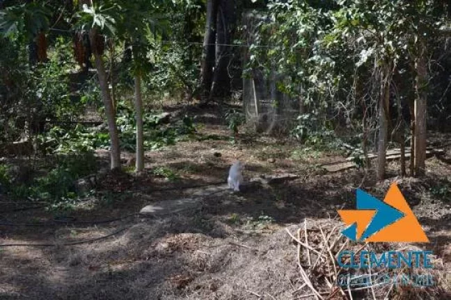 Imagem SITIO E CASA EM CONDOMINIO ESTANCIAS DA MATA LAGOA SANTA/JABOTICATUBAS