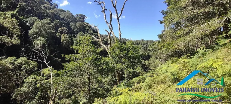Imagem Terreno Rural na Serra da Mantiqueira | Sertão do Cantagalo