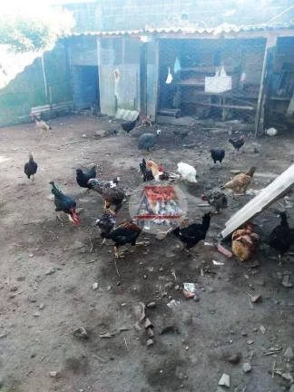 Imagem Sobrado com 1 dormitório à venda, 80 m² por R$ 200.000,00 - jardim Somar - Peruíbe/SP