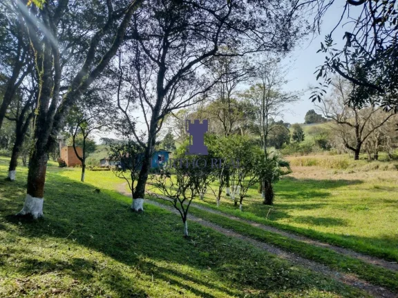 Imagem ÁREA EM BALSA NOVA COM 13.530,10M²