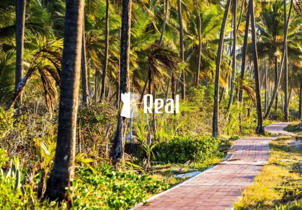 Imagem Lote Plano a 150m da Praia