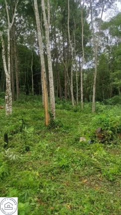 Imagem Terreno em Sao Paulo / Parelheiros / Bairro Embura / Travessa estrada marsilac.