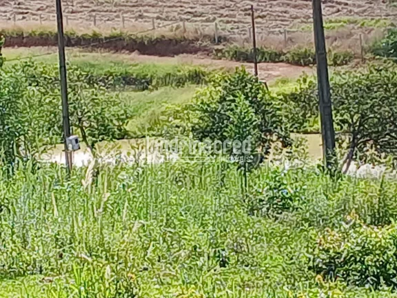 Imagem Sítio à venda, Flamenguinho, Ibaiti, PR