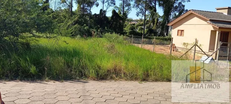 Imagem LOTE - Bairro DEMBOSKI