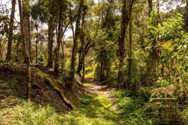 Imagem Terreno com 3132m a venda em Campos do Jordão