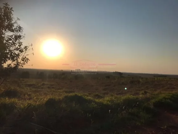Imagem Vendo terreno para Chácara - EXCELENTE TOPOGRAFIA.- com 500m2 R$ 63.000.00 a vista- com 100m2 R$ 97...