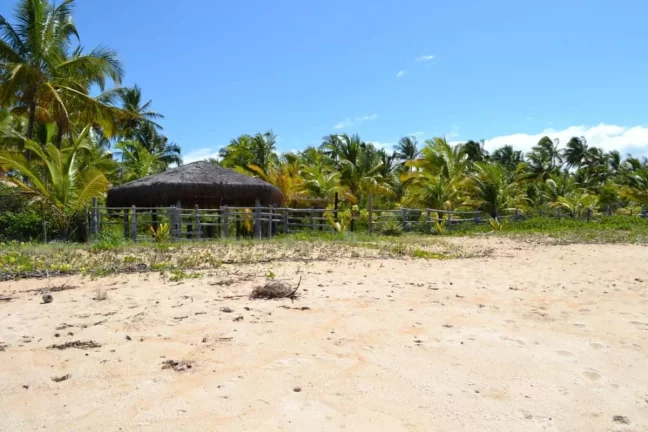 Imagem ÁREA NA PRAIA DO GUAIÚ NO EXTREMO SUL DA BAHIA
