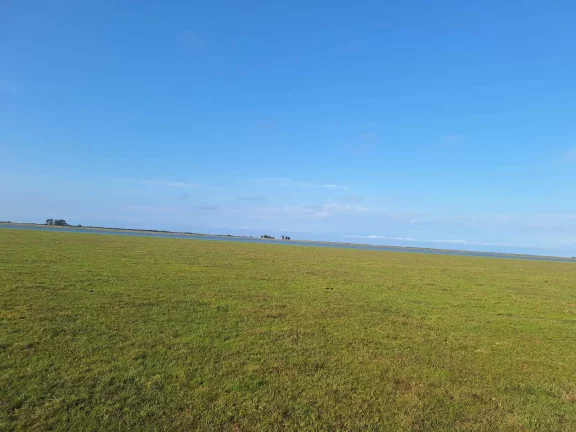 Imagem Excelente Área de 130 Hectares para Cultivo de Arroz – Viamão/RS