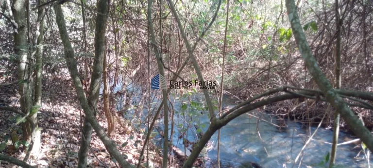 Imagem Chácara para Venda em Brasília, Setor Habitacional Jardim Botânico