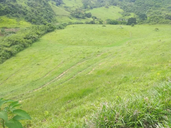 Imagem Fazenda à Venda, 1.930.000 m² em Centro - Trajano De Morais