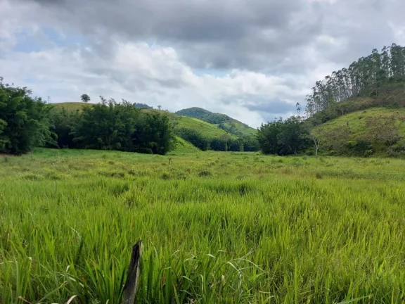 Imagem VENDO FAZENDA COM 30 ALQUEIRES EM SILVA JARDIM, AGUA POR GRAVIDADE