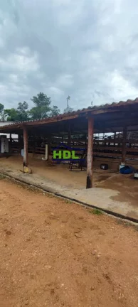 Imagem Fazenda de 23 alqs com estrutura para leite.