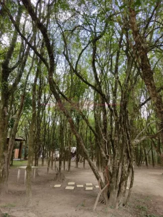 Imagem Chacara a venda na Cidade de Boituva