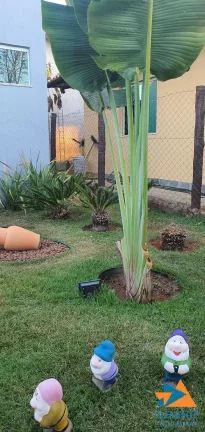 Imagem SITIO E CASA CONDOMINIO ESTANCIAS DA MATA LAGOA SANTA/JABOTICATUBAS MG