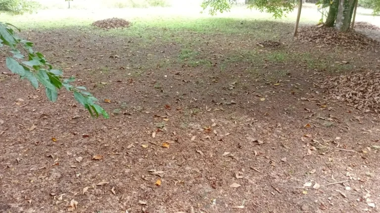 Imagem Terreno Pé na Areia no Ubatumirim! 300 metros em Condomínio Fechado!!
