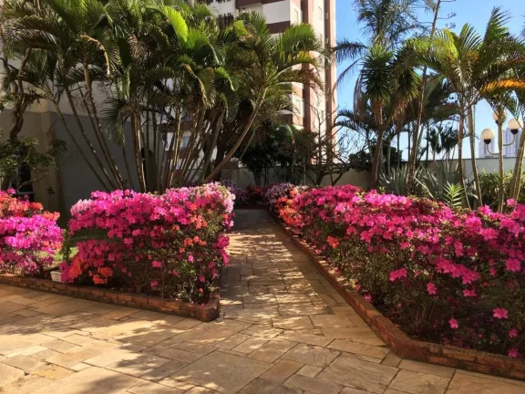 Imagem Apartamento Vila Granada - 65 m² - 3 Dormitórios - 1 Vaga - Aceita financiamento