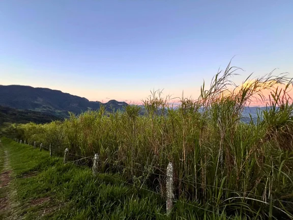 Imagem O Topo da Mantiqueira: Terreno Espetacular com 32.000m², 100% Aproveitável e Vista Infinita