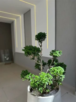 Imagem Casa à Venda em Maracanã, Praia Grande - SP